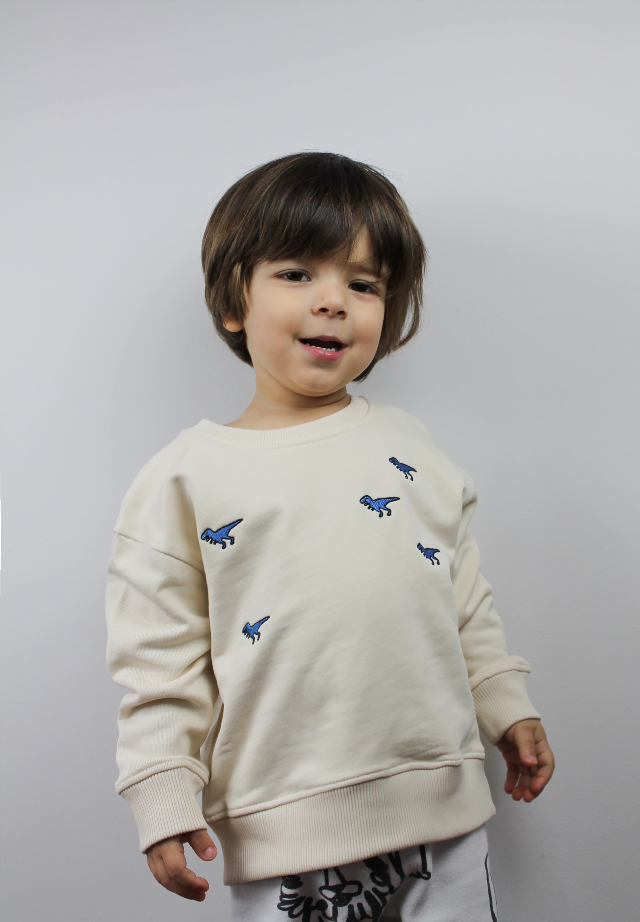 Child wearing beige organic cotton sweatshirt with embroidered dinosaur design