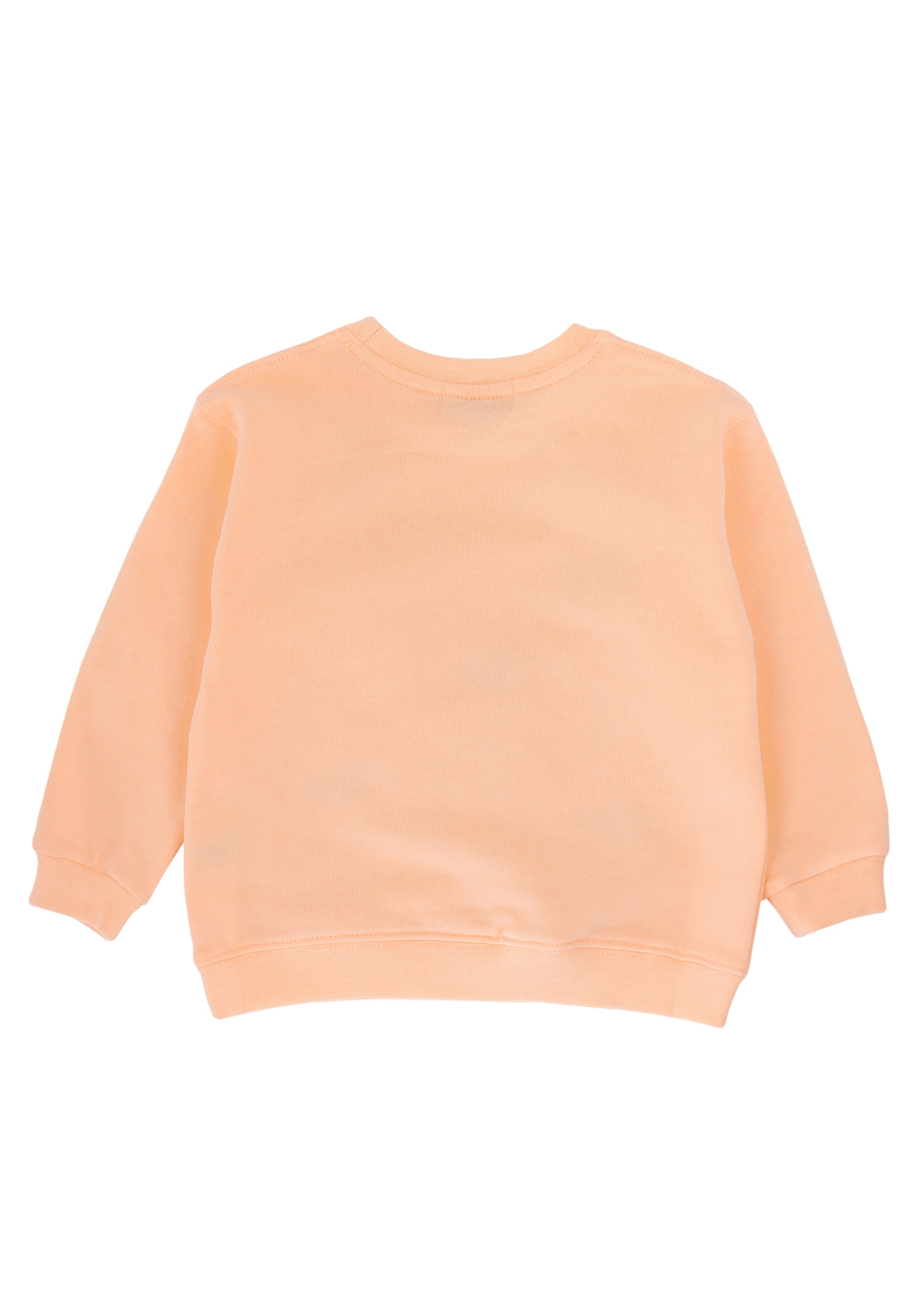 Kids' organic cotton sweatshirt with embroidered sausage dog design