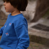 A young child wearing a bright blue crewneck sweatshirt with small embroidered airplane graphics, photographed outdoors against a blurred stone background.