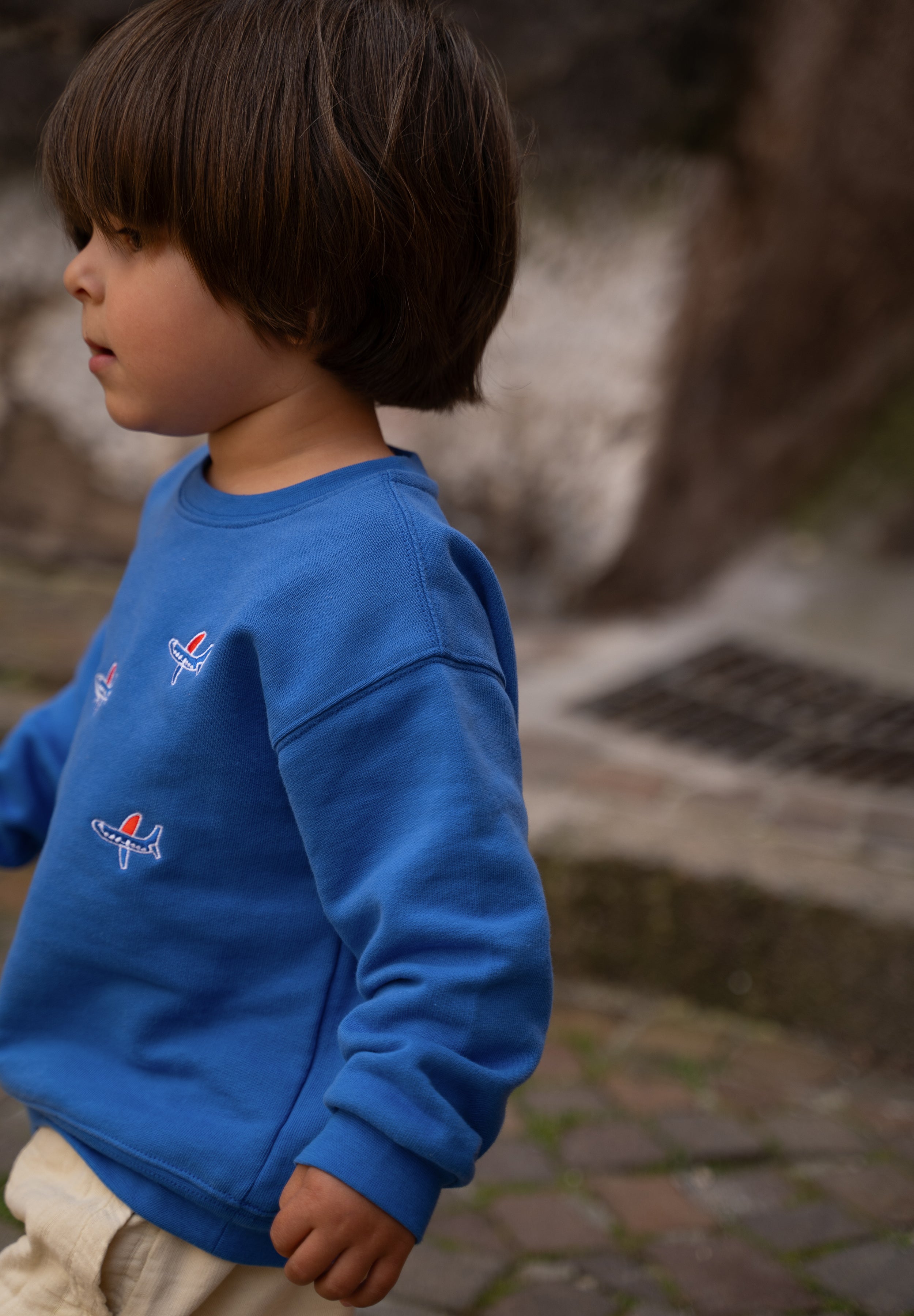 A young child wearing a bright blue crewneck sweatshirt with small embroidered airplane graphics, photographed outdoors against a blurred stone background.