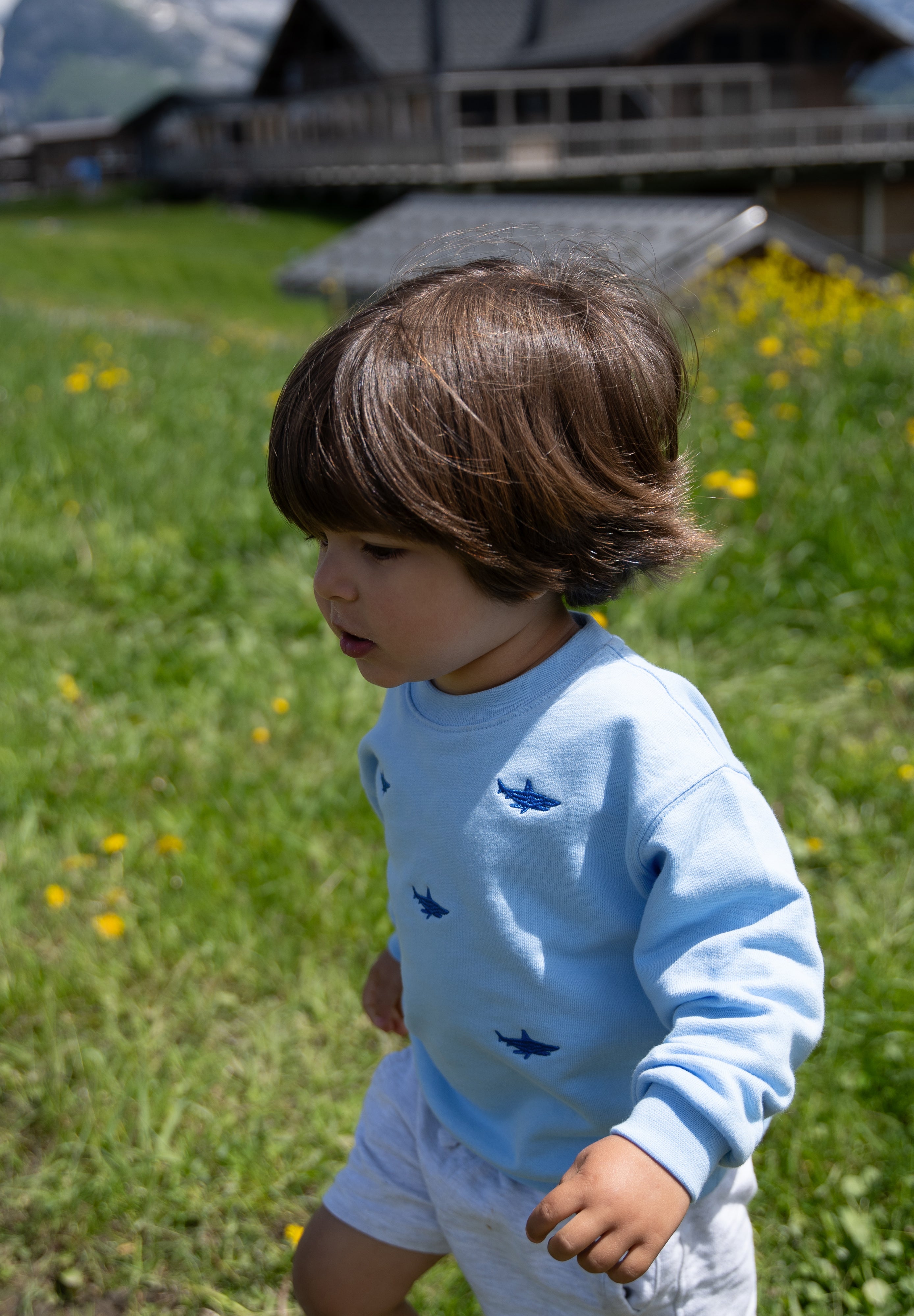 Child wearing light blue Slopes and Town kids' sweatshirt with shark design