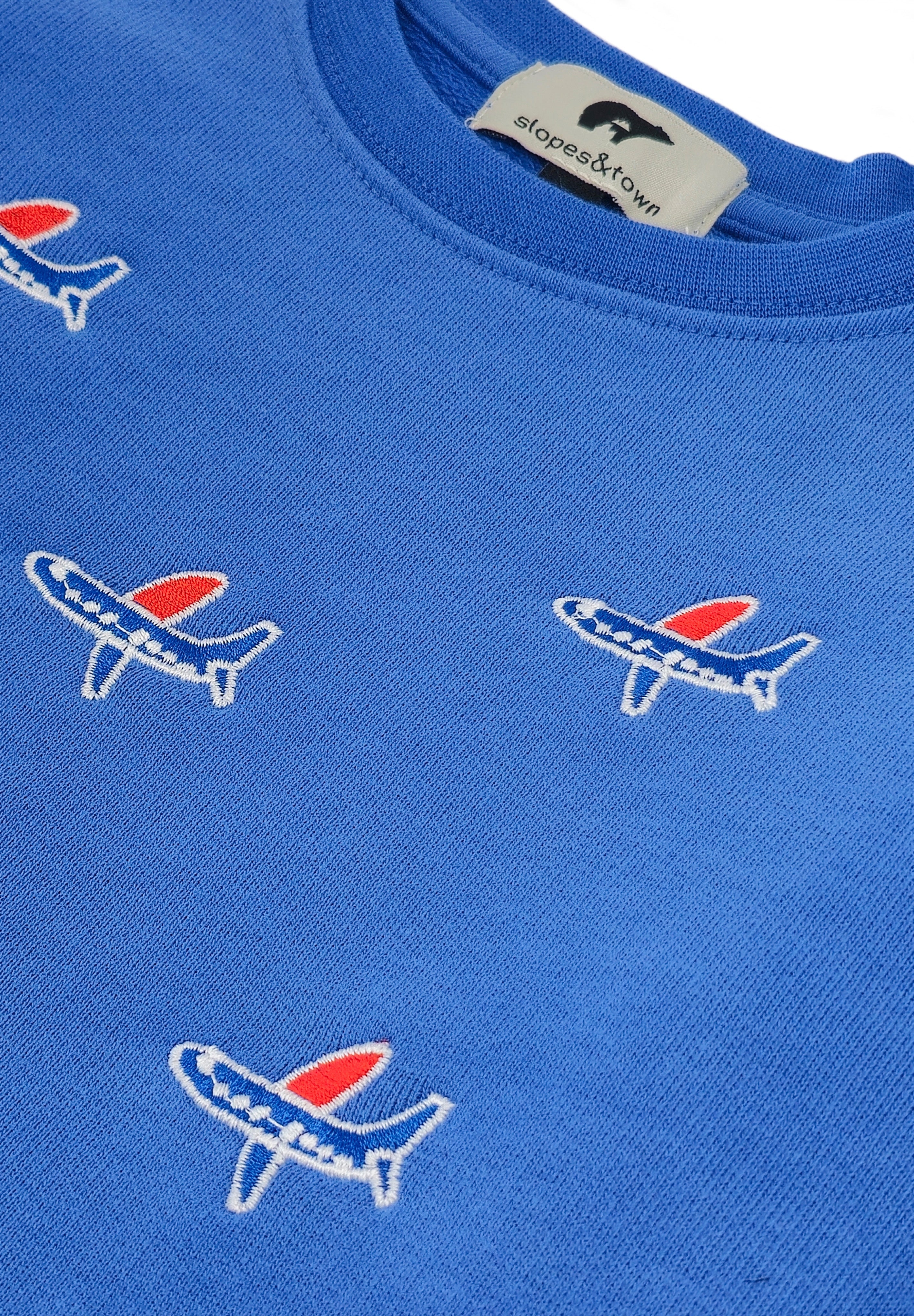 Close-up detail of airplane embroidery on blue kids' organic cotton sweatshirt