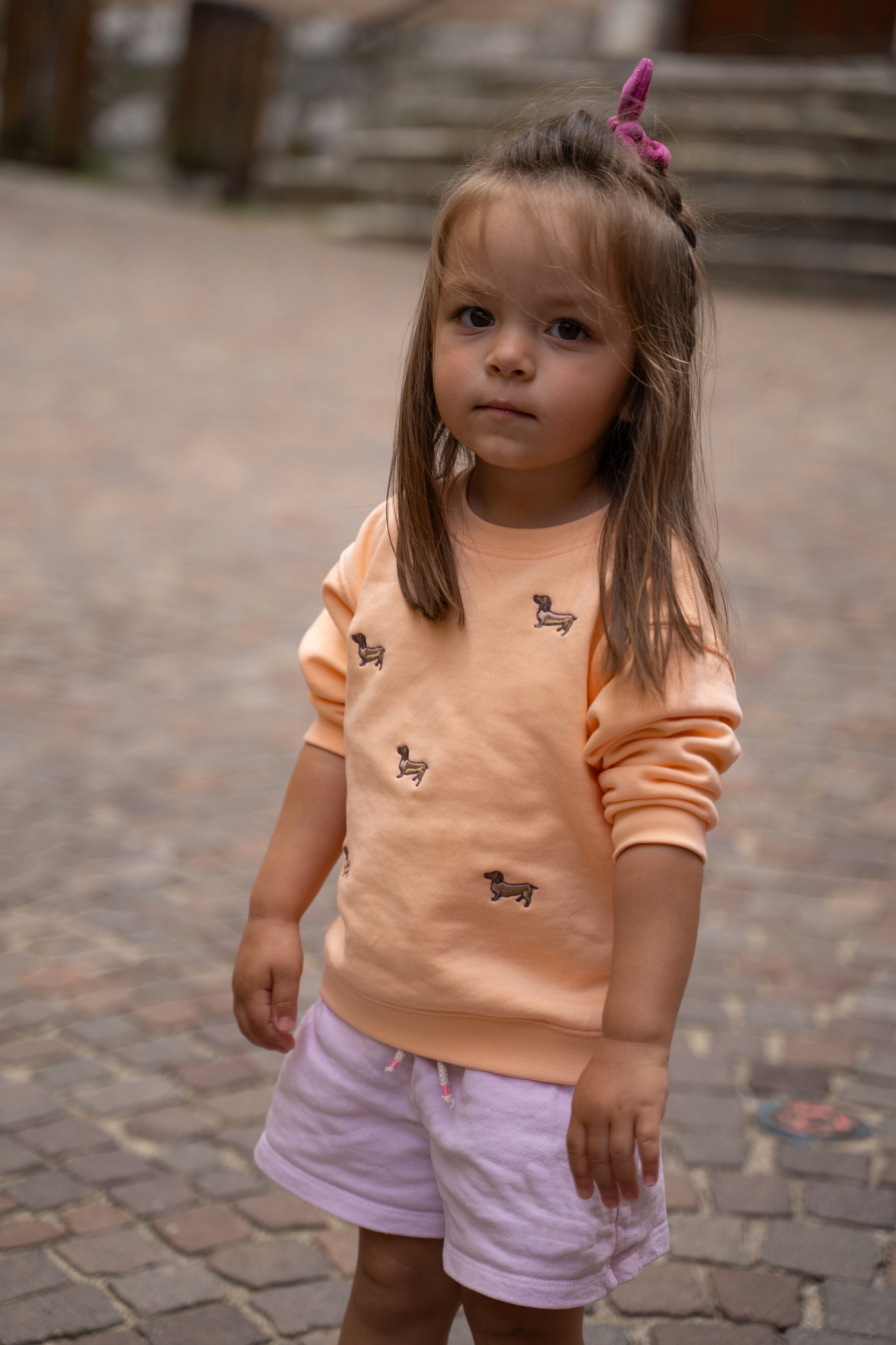 Child wearing kids' organic cotton sweatshirt with sausage dog embroidery